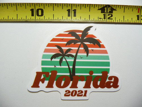 Florida palme gabbiani - florida,