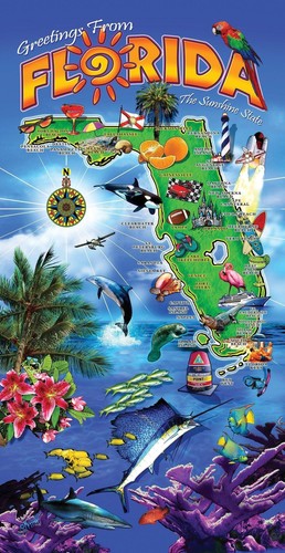 Telo mare saluti dalla - telo, florida